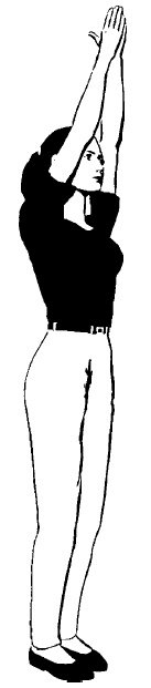 Иллюстрация к книге — Школа гейши. Мудрость Востока для современной женщины [i_005.jpg]