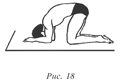 Иллюстрация к книге — Восточный путь к здоровью [i_012.jpg]