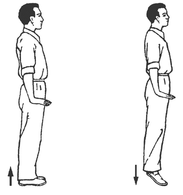 Иллюстрация к книге — Восточный путь к здоровью [i_144.jpg]