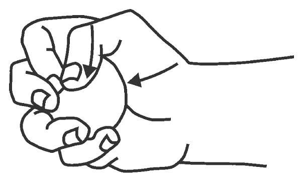 Иллюстрация к книге — Восточный путь к здоровью [i_157.jpg]