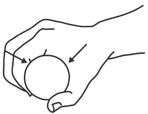 Иллюстрация к книге — Восточный путь к здоровью [i_160.jpg]