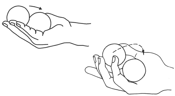 Иллюстрация к книге — Восточный путь к здоровью [i_163.jpg]