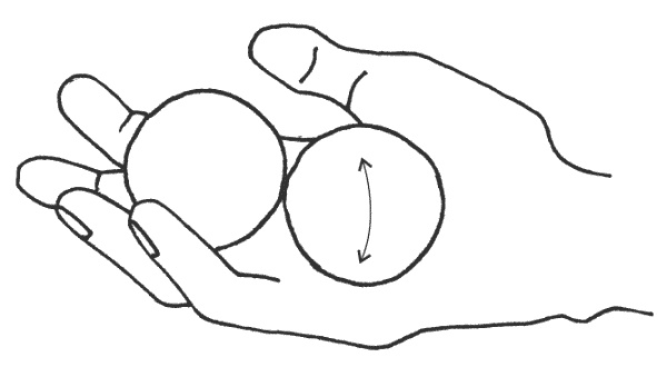 Иллюстрация к книге — Восточный путь к здоровью [i_165.jpg]