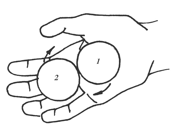 Иллюстрация к книге — Восточный путь к здоровью [i_166.jpg]