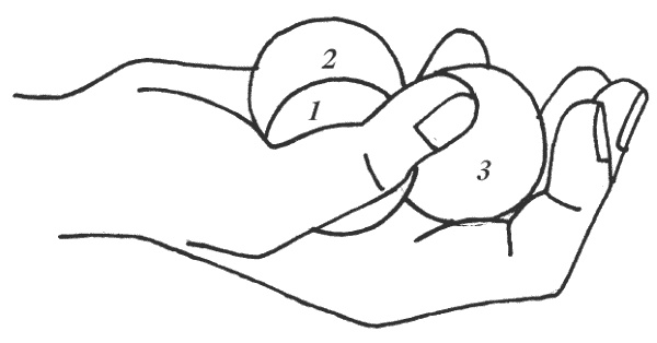 Иллюстрация к книге — Восточный путь к здоровью [i_172.jpg]