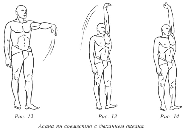 Иллюстрация к книге — Восточный путь к здоровью [i_177.jpg]