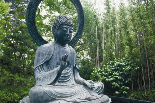 Иллюстрация к книге — Йога и аюрведа в 10 простых уроках [i_001.jpg]