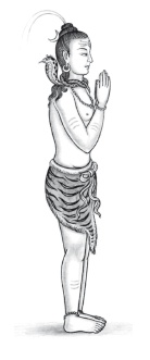 Иллюстрация к книге — Йога и аюрведа в 10 простых уроках [i_039.jpg]