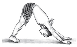 Иллюстрация к книге — Йога и аюрведа в 10 простых уроках [i_043.jpg]