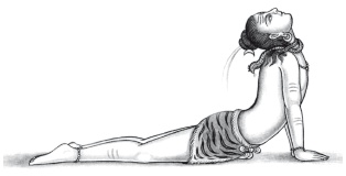 Иллюстрация к книге — Йога и аюрведа в 10 простых уроках [i_045.jpg]