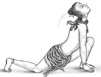 Иллюстрация к книге — Йога и аюрведа в 10 простых уроках [i_047.jpg]