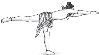 Иллюстрация к книге — Йога и аюрведа в 10 простых уроках [i_057.jpg]