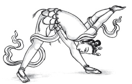 Иллюстрация к книге — Йога и аюрведа в 10 простых уроках [i_058.jpg]