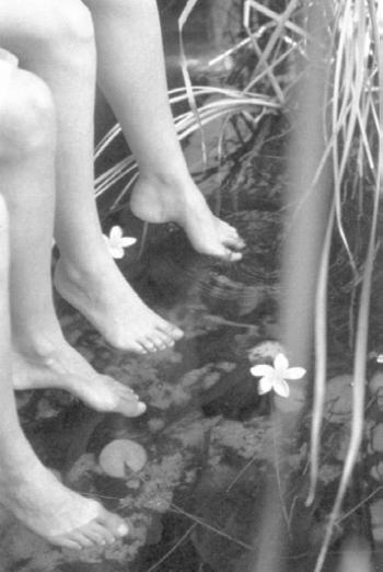 Иллюстрация к книге — Медитация в ванне [i_030.jpg]