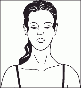 Иллюстрация к книге — Настольная книга гейши [_07.jpg]