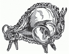 Иллюстрация к книге — Настольная книга гейши [_116.jpg]