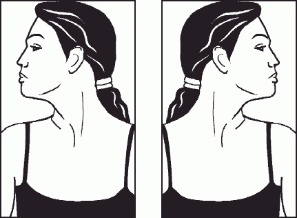 Иллюстрация к книге — Настольная книга гейши [_12.jpg]