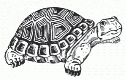 Иллюстрация к книге — Настольная книга гейши [_127.jpg]