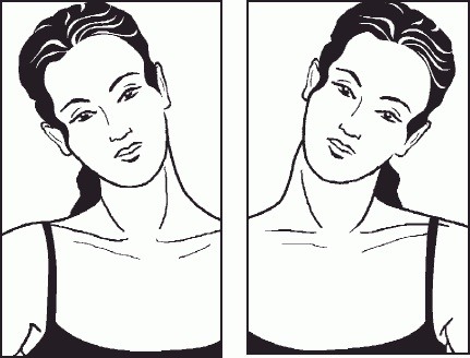 Иллюстрация к книге — Настольная книга гейши [_13.jpg]