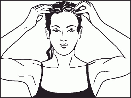 Иллюстрация к книге — Настольная книга гейши [_19.jpg]