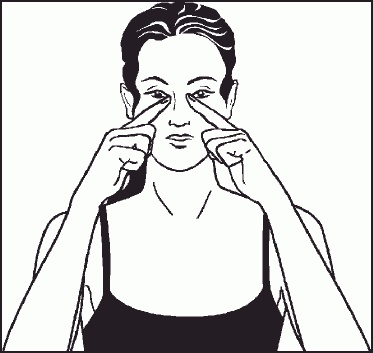 Иллюстрация к книге — Настольная книга гейши [_24.jpg]