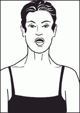 Иллюстрация к книге — Настольная книга гейши [_48.jpg]