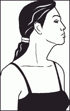 Иллюстрация к книге — Настольная книга гейши [_50.jpg]