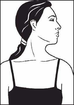 Иллюстрация к книге — Настольная книга гейши [_51.jpg]