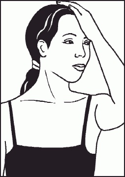 Иллюстрация к книге — Настольная книга гейши [_52.jpg]