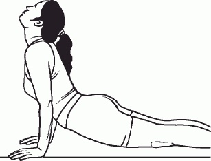 Иллюстрация к книге — Настольная книга гейши [_64.jpg]