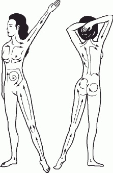 Иллюстрация к книге — Настольная книга гейши [_72.jpg]