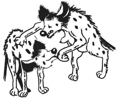 Иллюстрация к книге — Странности животной сексуальности. Как они делают это...? [i_001.jpg]