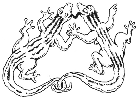 Иллюстрация к книге — Странности животной сексуальности. Как они делают это...? [i_003.jpg]