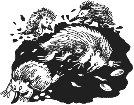 Иллюстрация к книге — Странности животной сексуальности. Как они делают это...? [i_005.jpg]