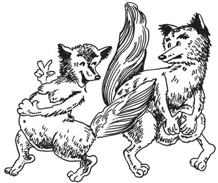 Иллюстрация к книге — Странности животной сексуальности. Как они делают это...? [i_006.jpg]