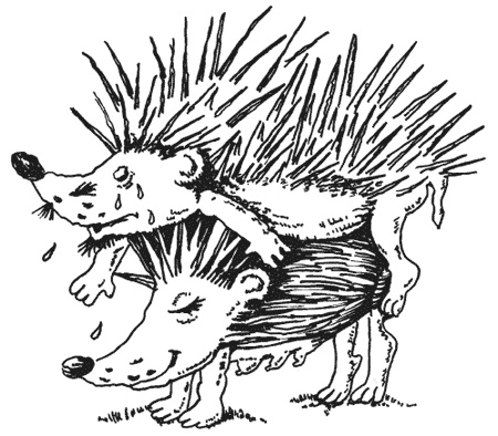 Иллюстрация к книге — Странности животной сексуальности. Как они делают это...? [i_008.jpg]