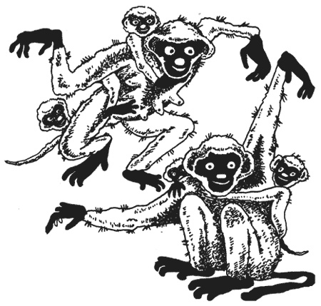 Иллюстрация к книге — Странности животной сексуальности. Как они делают это...? [i_009.jpg]