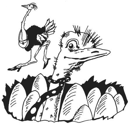 Иллюстрация к книге — Странности животной сексуальности. Как они делают это...? [i_011.jpg]