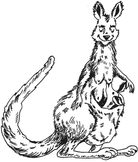 Иллюстрация к книге — Странности животной сексуальности. Как они делают это...? [i_020.jpg]