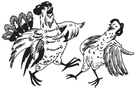 Иллюстрация к книге — Странности животной сексуальности. Как они делают это...? [i_025.jpg]