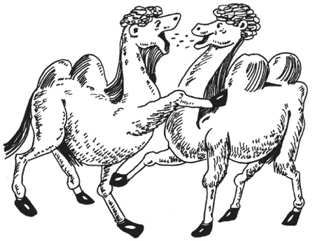 Иллюстрация к книге — Странности животной сексуальности. Как они делают это...? [i_028.jpg]