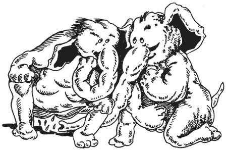 Иллюстрация к книге — Странности животной сексуальности. Как они делают это...? [i_029.jpg]