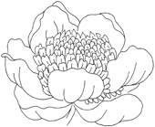 Иллюстрация к книге — Женские секреты любви [i_002.jpg]