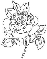 Иллюстрация к книге — Женские секреты любви [i_004.jpg]