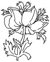 Иллюстрация к книге — Женские секреты любви [i_005.jpg]