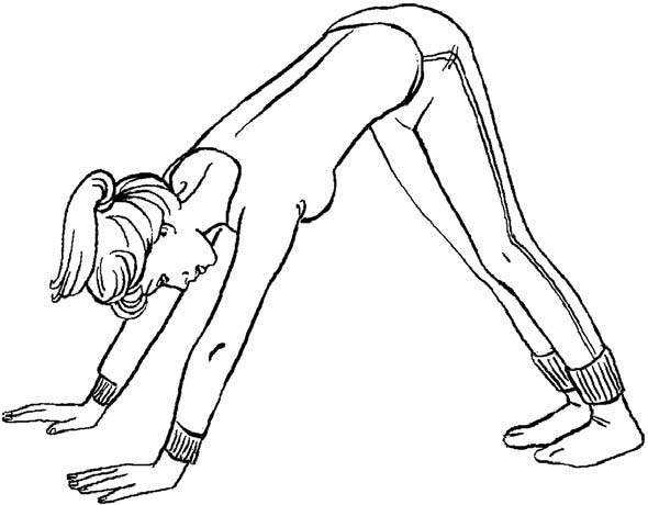 Иллюстрация к книге — Я желаю вам здоровья! [i_008.jpg]