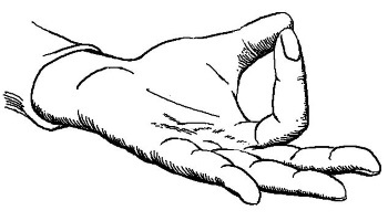 Иллюстрация к книге — Я желаю вам здоровья! [i_019.jpg]