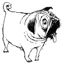 Иллюстрация к книге — Молли Мун покоряет мир [pic_3.jpg]