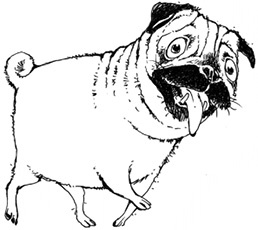 Иллюстрация к книге — Молли Мун покоряет мир [pic_4.jpg]