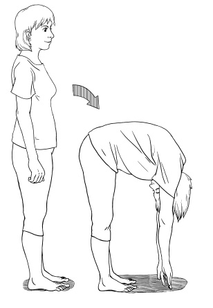 Иллюстрация к книге — 120 на 80. Книга о том, как победить гипертонию, а не снижать давление [Autogen_eBook_id20.jpg]